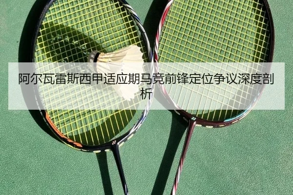 a-er-wa-lei-si-xi-jia-shi-ying-qi-ma-jing-qian-feng-ding-wei-zheng-yi-shen-du-pou-xi-2-454.jpg